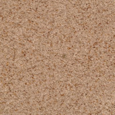 Dixie Home Hidden Tallent Textured Granite G525678705