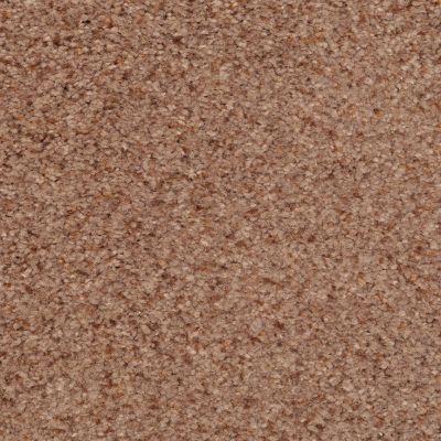 Dixie Home Hidden Tallent Textured River Stone G525679301