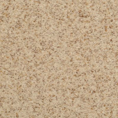 Dixie Home Bashan Textured Parchment G525713221