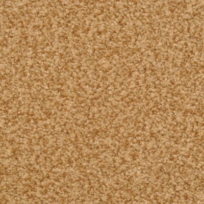 Dixie Home Bashan Textured Earth G525737308