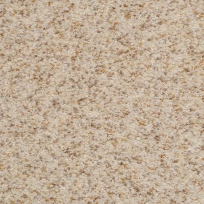 Dixie Home Bashan Textured Smokey Topaz G525781825