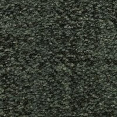 Dixie Home Mystique Orion 6334-59395