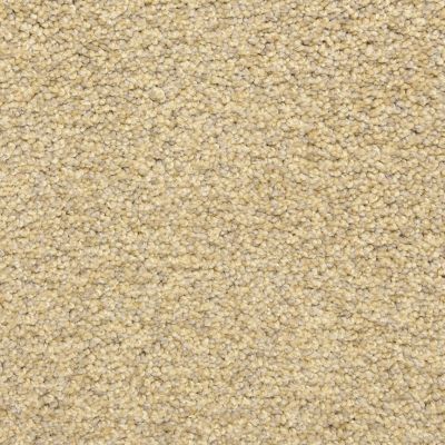 Dixie Home Colorworks Sand Storm G528720220