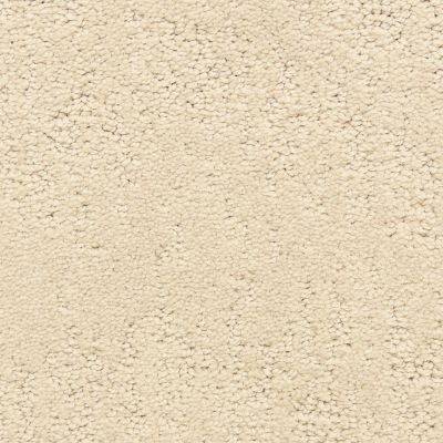 Dixie Home Bold Step Patterned Soft Taupe G529222285