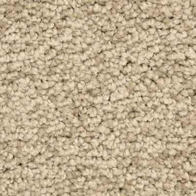 Dixie Home Solero Pale Taupe G530523945