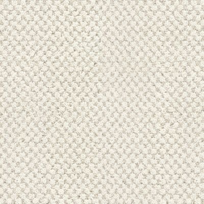 Masland La Parade Antique Lace 9716-719