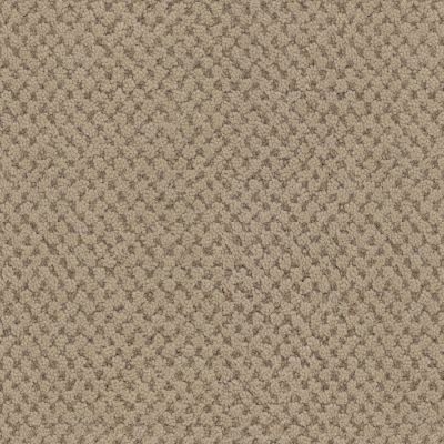Masland La Parade Bistre 9716-755
