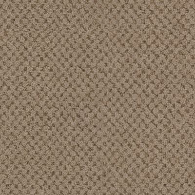 Masland La Parade Chocolat 9716-825