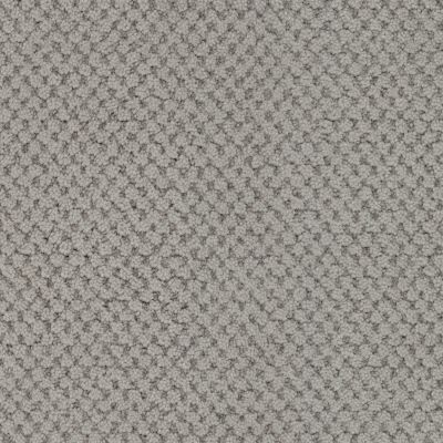 Masland La Parade Granite 9716-969