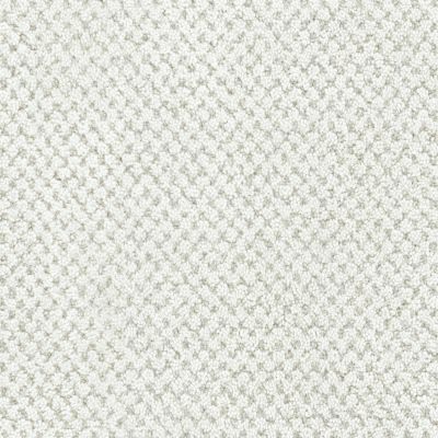 Masland La Parade Linen 9716-715
