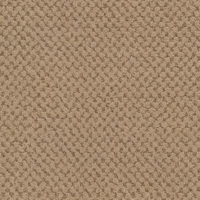 Masland La Parade Rustic Brass 9716-761