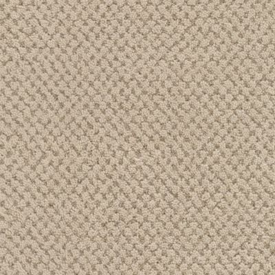 Masland La Parade Truffle 9716-738