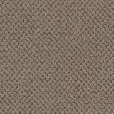 Masland La Parade Walnut 9716-829
