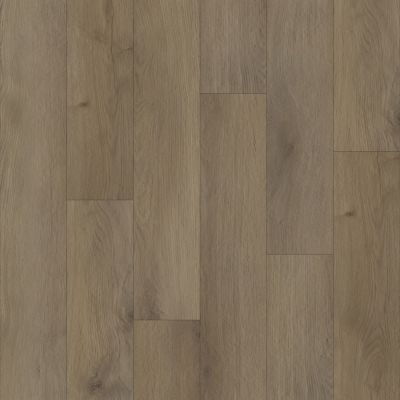 Trucor 5 Series English Oak P1054-DU510