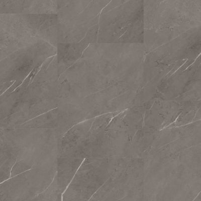 Trucor Tile With Igt Collection Pietra Gray S1108-D9204
