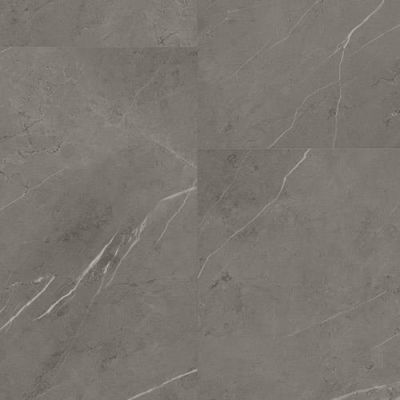 Trucor Tile With Igt Pietra Gray S1108-D9204