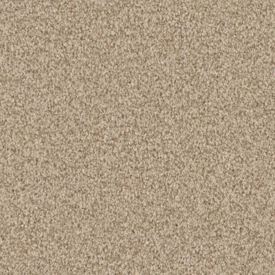Masland Santa Rosa Driftwood 9713-821