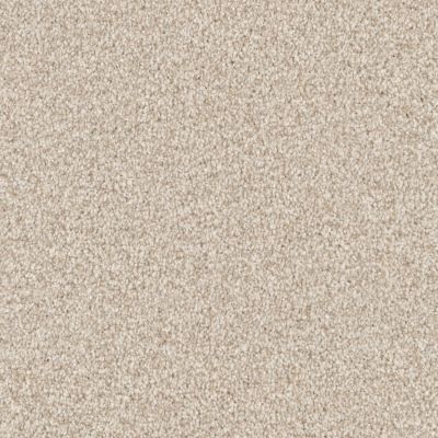 Masland Santa Rosa Sand Dollar 9713-727
