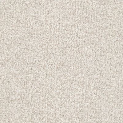Masland Santa Rosa Shell Beige 9713-917