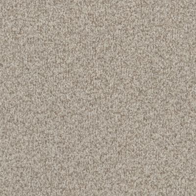 Masland Santa Rosa Weathered Deck 9713-829