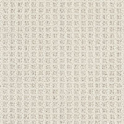 Masland Seascape Moonbeam 9712-709