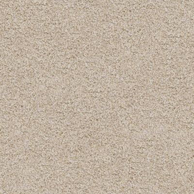 Dixie Home Shepherd River Sand D069-71249