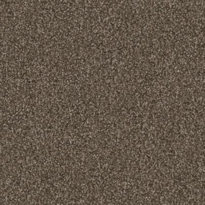 Dixie Home Shepherd Rivulet D069-87843