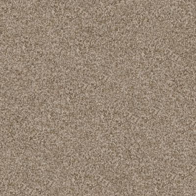 Dixie Home Shepherd Robust D069-74860