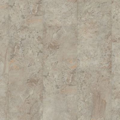 Dixie Home Trucor® Tile With Igt Tile with IGT Collection in Slate Tundra S1107-D3401