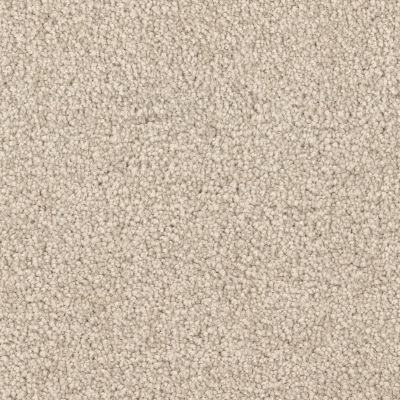 Dixie Home Spring Break Seagrass D070-73156