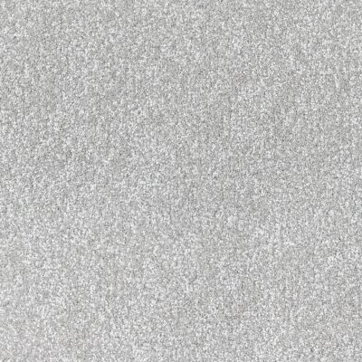 Dixie Home Spring Fling Silver Dollar D071-92909