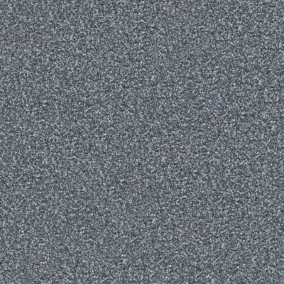Masland Tracker Astro 9692-595