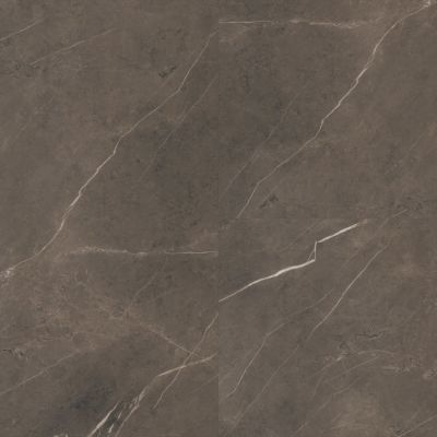 Trucor Tile With Cgt Collection Emperador Sable S1118-D1926