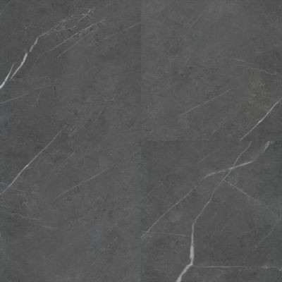 Trucor Tile With Cgt Collection Emperador Carbon S1119-D1922