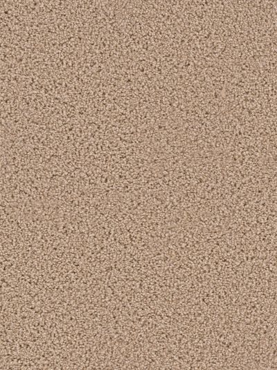 Dream Weaver Exceptional Wheat 7402_766