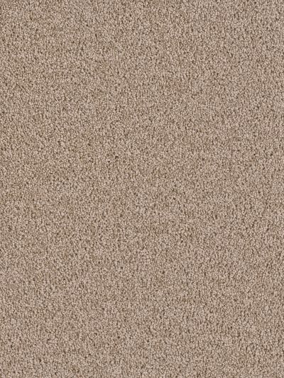 Dream Weaver Sensational Sandstone 7450_715