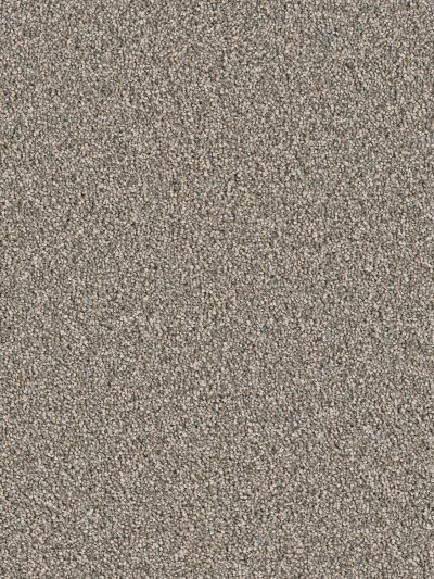 Dream Weaver Sensational Taupestone 7450_787