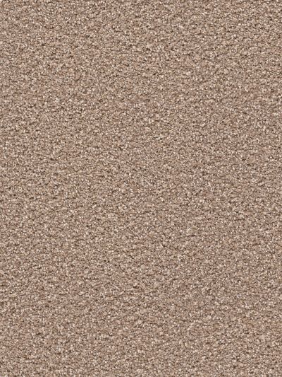 Dream Weaver Remarkable Mocha 6020_775