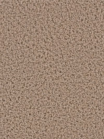 Dream Weaver Keystone Oatmeal 1220_775