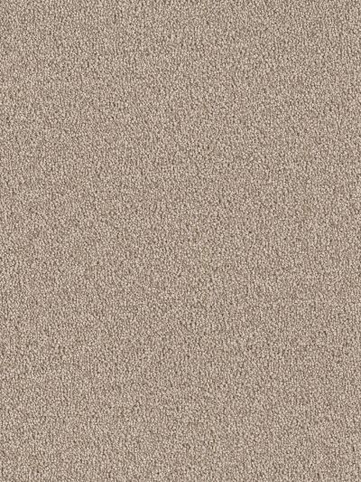 East Hampton Dreamweaver  BAMBOO 2550_565