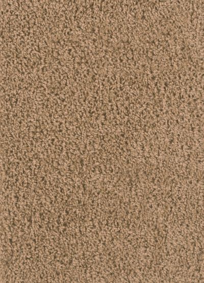 Dream Weaver Keystone Plus Honey Beige 3120_510