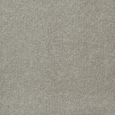 Shop Dream Weaver Exceptional Ii Cameo 7404 174 Carpet West River Carpets