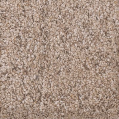 Dream Weaver World Class II Swing 5510_723