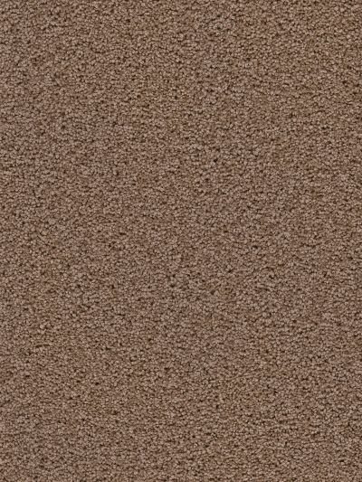 Dream Weaver Serenity Cocoa 9580_550