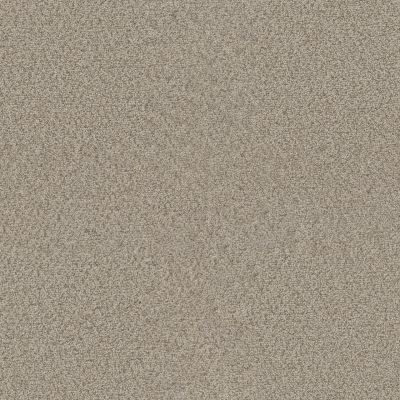 Star Struck Dreamweaver  LINEN 4032_824