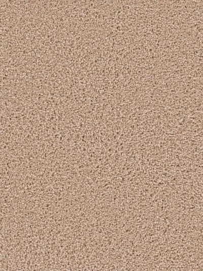 Dream Weaver Serenity Sand 9580_710