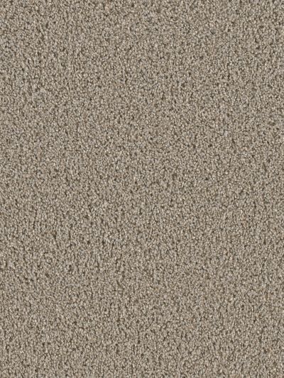 Dream Weaver Cosmopolitan Ash 5755_945