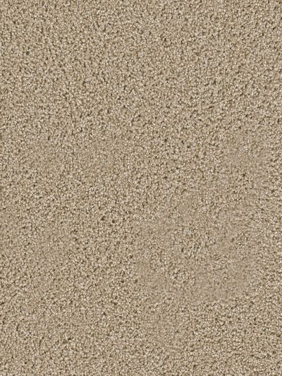 Dream Weaver Tranquility Sawgrass 9480_701