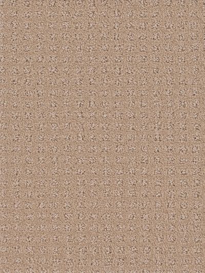 Dream Weaver Touch Of Class Lavish 1036_555