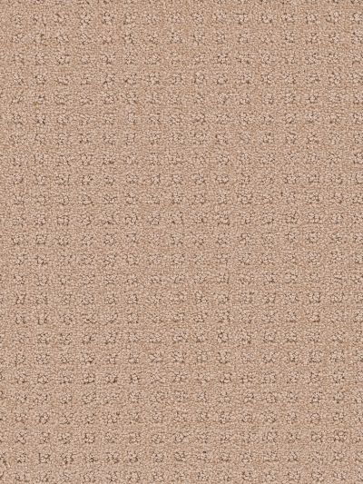 Dream Weaver Touch Of Class Sand 1036_710